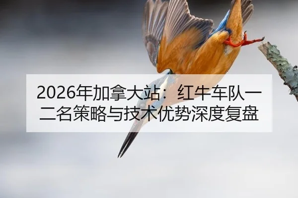 nian-jia-na-da-zhan-hong-niu-che-dui-yi-er-ming-ce-lve-yu-ji-shu-you-shi-shen-du-fu-pan-2-709.jpg