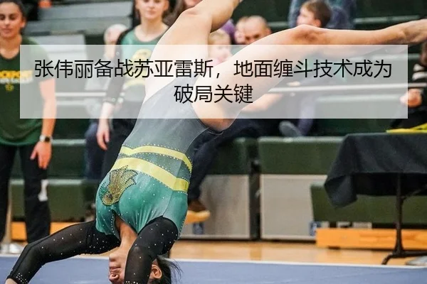 张伟丽备战苏亚雷斯，地面缠斗技术成为破局关键